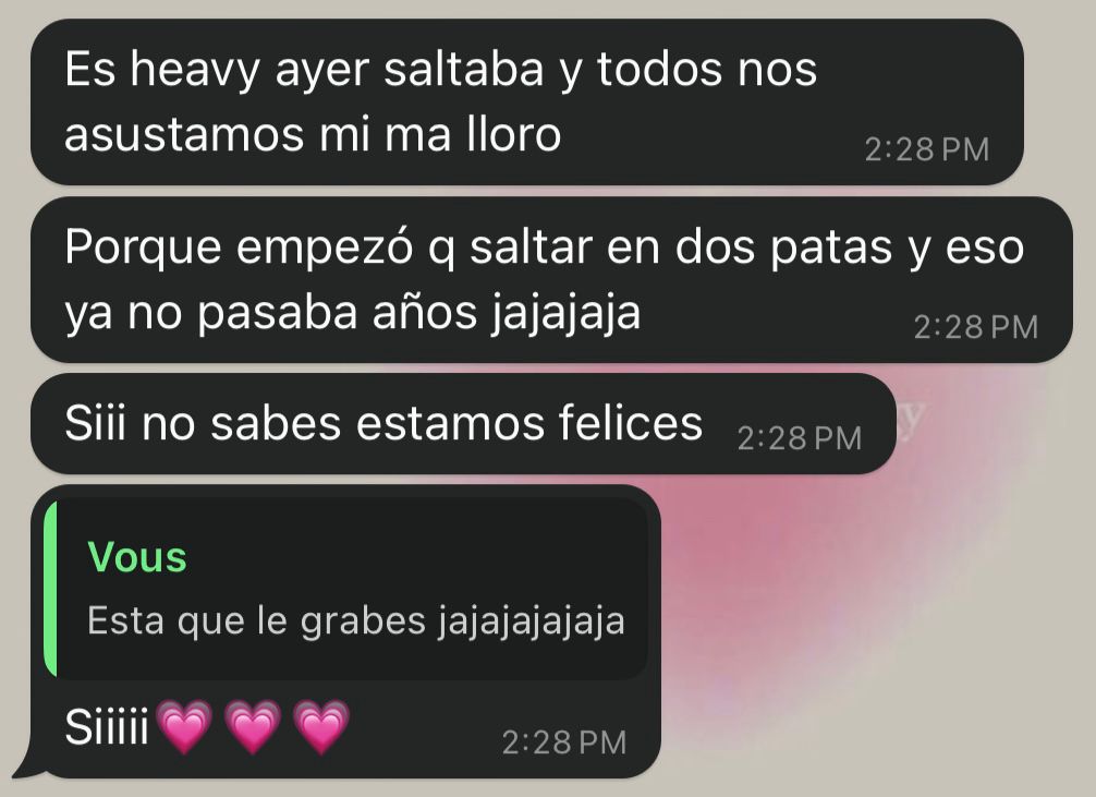 Testimonio de cliente 4 sobre la comida natural Bilu Pets